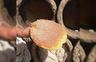 Dünyaca ünlü Bitlis’in ’karakovan’ balının...