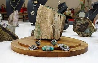 Dünyada sadece Tokat’ta çıkıyor, milyonlarca...