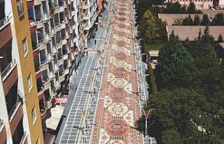 Dünyanın en uzun halı caddesi