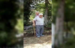 Dut ağacını budarken yüksekten düştü: 1 ölü