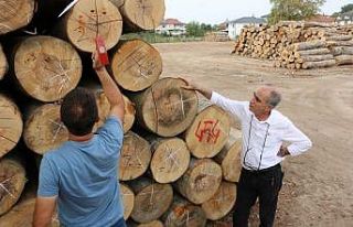 Düzce’de orman emvalinin kalitesi yükseltiliyor