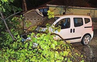 Düzce’de sağanak ve lodos etkili oldu
