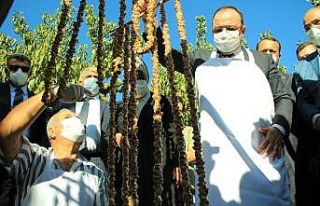 Elazığ’da 14. Bağ Bozumu ve Orcik Festivali