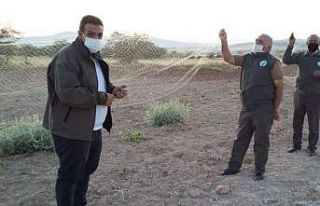 Elazığ’da ağla kurulu av düzeneği ele geçirildi