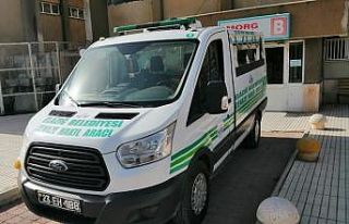 Elazığ’da ceviz ağacından düşen şahıs hayatını...
