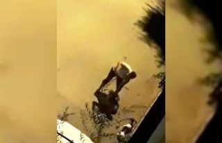 Elindeki boruyla köpeği acımasızca dövdü