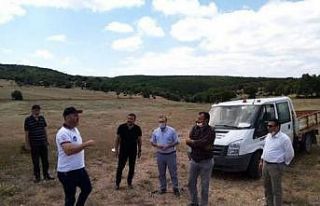 Emet’te enerji yatırımı