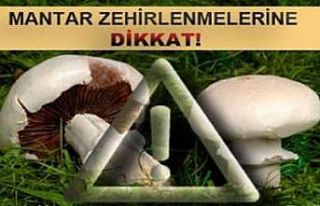 Emet’te mantar zehirlenmelerine karşı uyarı