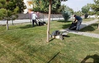 Emirdağ Belediyesi sonbahar çalışmalarına başladı