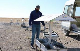 Erciş Belediyesi sokak hayvanlarını unutmuyor