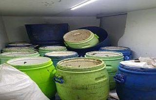 Erdek’te 300 kilo deniz patlıcanı ele geçirildi