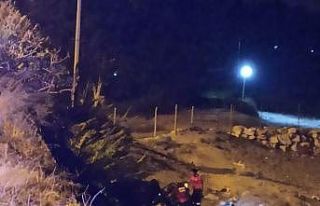 Erdemli’de kamyonet sahile uçtu: 1 ölü, 4 yaralı
