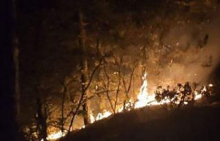 Erken müdahale muhtemel bir felaketi önledi