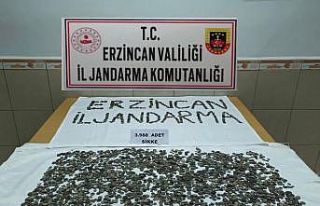 Erzincan’da 3 bin 988 adet sikke ele geçirildi