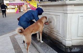 Erzincan’da yürekleri ısıtan an