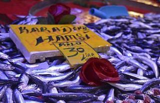 Eskişehir’de hamsi fiyatı 50 liraya kadar yükseldi