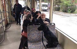 Eskişehir’in “Tramvay çocuğu” kayıp