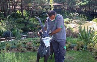 Farkındalık için hayvan figürlerine maske