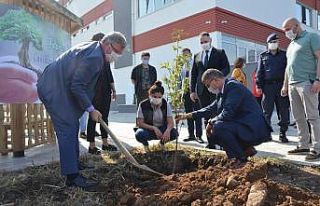 Fatsa’da fidanlar toprakla buluştu