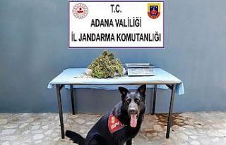 Feke’de uyuşturucu operasyonu