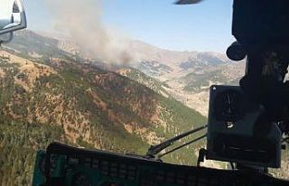 Feke’deki orman yangını kontrol altına alındı