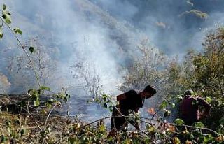 Fındık bahçesinde yangın