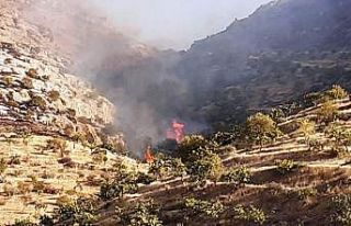 Fıstık tarlasında çıkan yangın söndürüldü