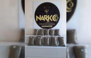 Gaziantep’te 10 kilo bonzai yakalandı