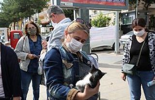 Gaziemir’de sokak hayvanları yeni yuvalarına kavuştu