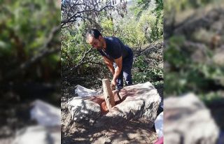 Geleneksel yöntemle sumak üretiyorlar