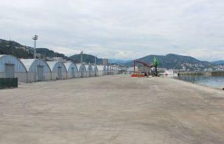 GESOB Başkanı Ali Kara: “Giresun Limanı istihdam...