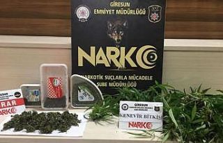 Giresun’da uyuşturucu operasyonunda 1 kişi tutuklandı