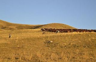 Göçerlerin zorlu dönüş yolculuğu başladı