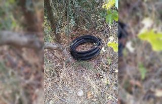 Gündüz kesip gece çalıyorlar