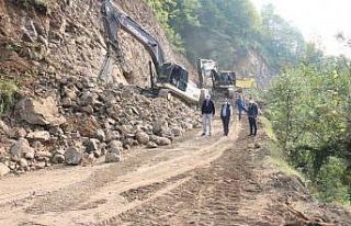 Güzeldere Şelalesi yolunda çalışmalar devam ediyor