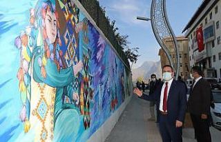 Hakkari’deki istinat davarları resimlerle süslendi