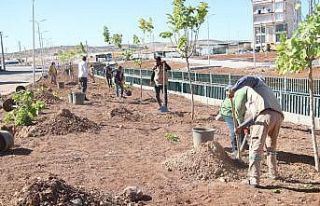 Haliliye’de temizlik çalışmaları devam ediyor