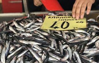 Hamside umutlar önümüzdeki aylara kaldı