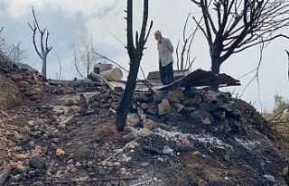 Hatay yangınında çok sayıda ev zarar gördü