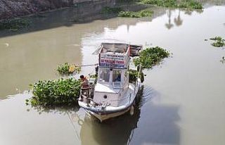 Hatay’da su sümbülleriyle mücadele sürüyor