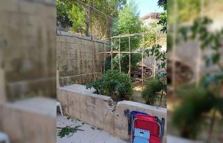 Hatay’da uyuşturucu operasyonları