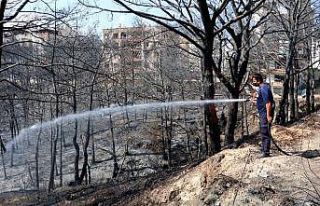Hatay’da yanan ağaçlar soğutuluyor