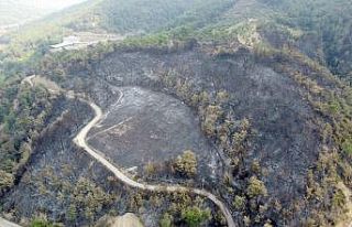 Hatay’da yanan alanlar havadan görüntülendi