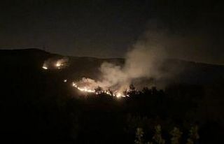 Hatay’da yangın kontrol altına alındı