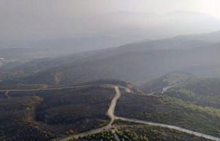 Hatay’da yangını soğutma çalışmaları sürüyor