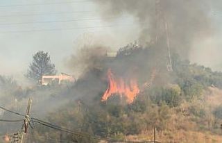 Hatay’daki orman yangını yerleşim yerlerine sıçradı