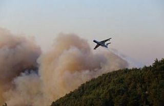 Hatay’daki orman yangınında 300 hektar alan zarar...