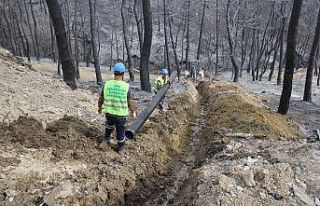 Hatay’daki yangın bölgesinde altyapı çalışmaları