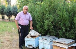 Hatay’daki yangında binden fazla arı kovanı yandı