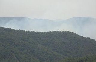 Hatay’ın Suriye sınırında orman yangını